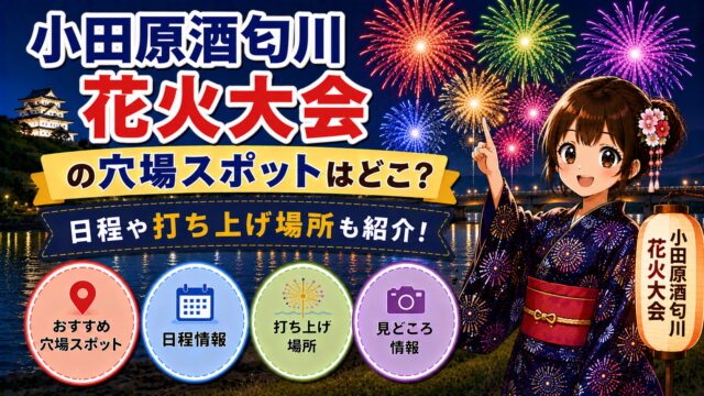 小田原酒匂川花火大会