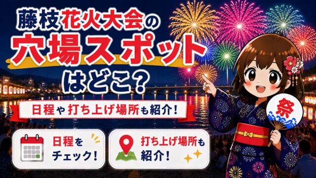 藤枝花火大会